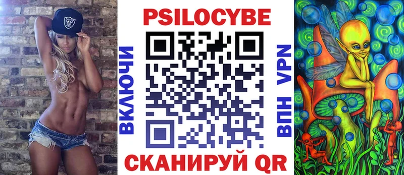 Галлюциногенные грибы Psilocybe  Холм 